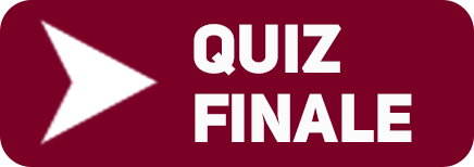 Quiz finale